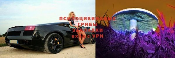 наркотики Бородино