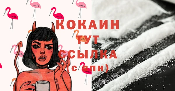 спайс Богданович