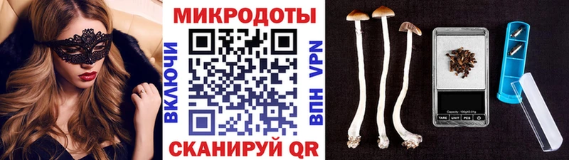 Псилоцибиновые грибы Psilocybine cubensis  Купить  Красавино 